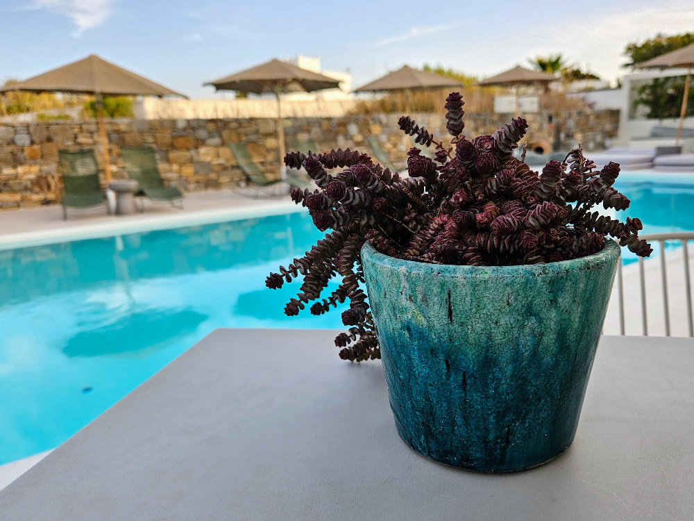 View of the pool at Koukoumi