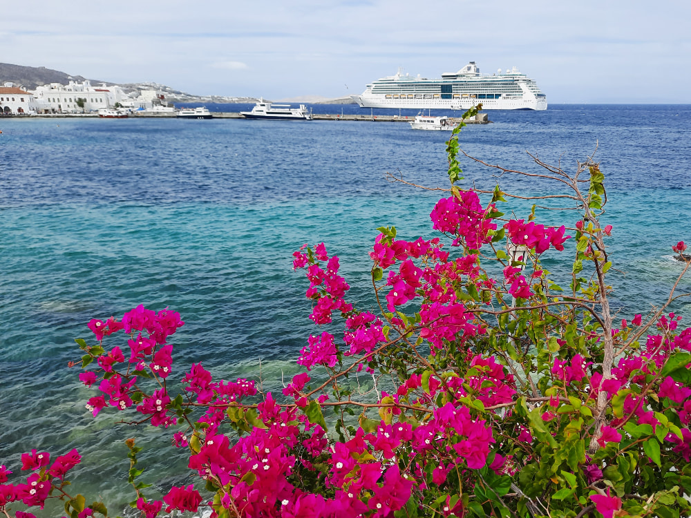 Bougainvillea in front of the sea in Mykonos Town, Greece