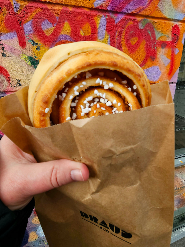 Vegan cinnamon roll from Braud and Co., Reykjavik, Iceland