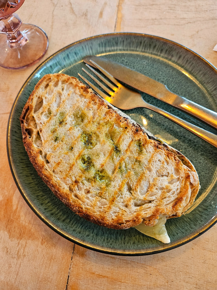 Vegan grilled cheese with pesto at the cat cafe in Reykjavik, Iceland