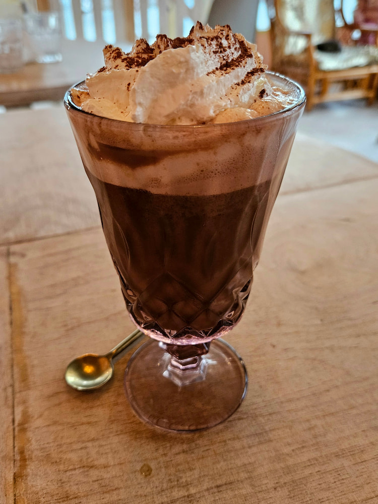 Vegan hot chocolate with whipped cream at the cat cafe in Reykjavik, Iceland