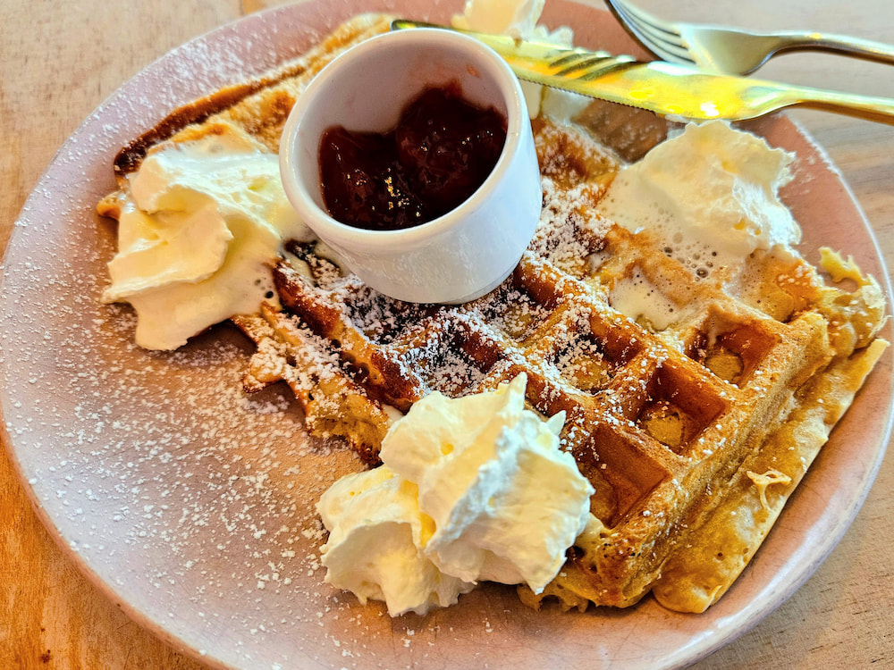 Vegan waffles with whipped cream and jam at the cat cafe in Reykjavik, Iceland