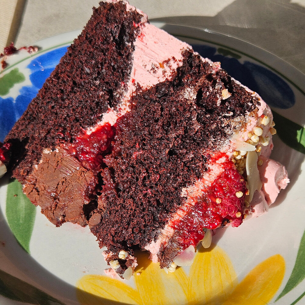 Vegan chocolate-raspberry cake at Plantan, Reykjavik, Iceland