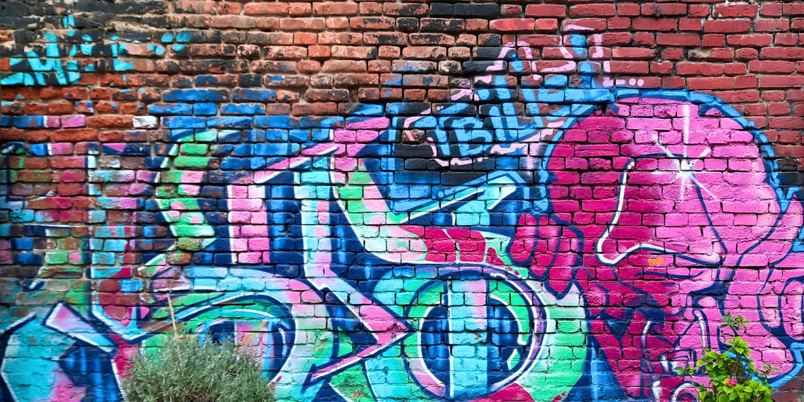 Tbilisi graffiti in vivid colors