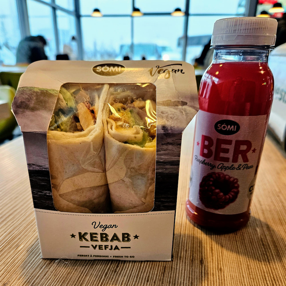 Vegan kebab wrap at a gas station on the South Coast tour, Iceland